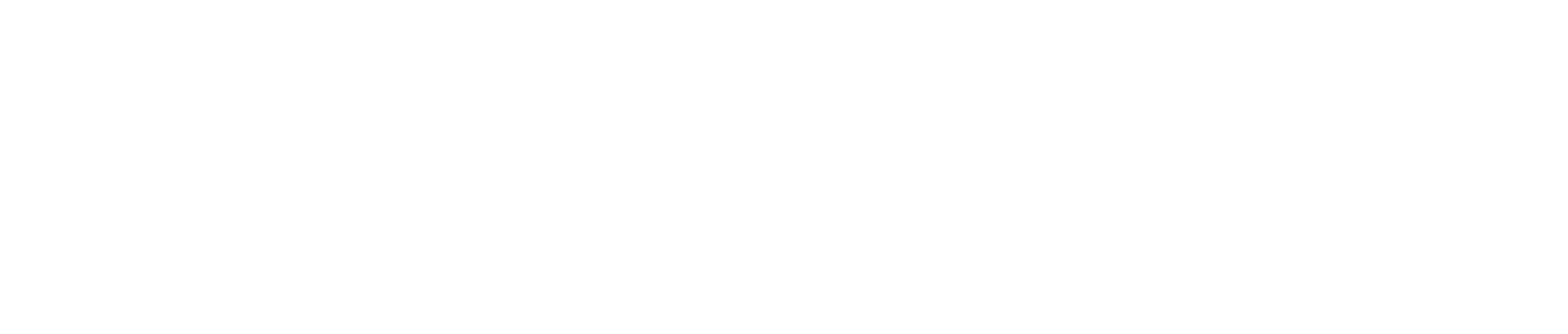 PASO PASO white wordmark